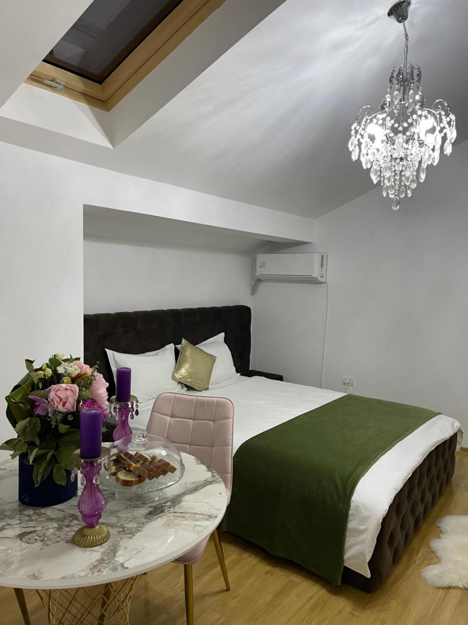 Vila Zoe Bucharestairport&Therme&Parking Otopeni Ngoại thất bức ảnh