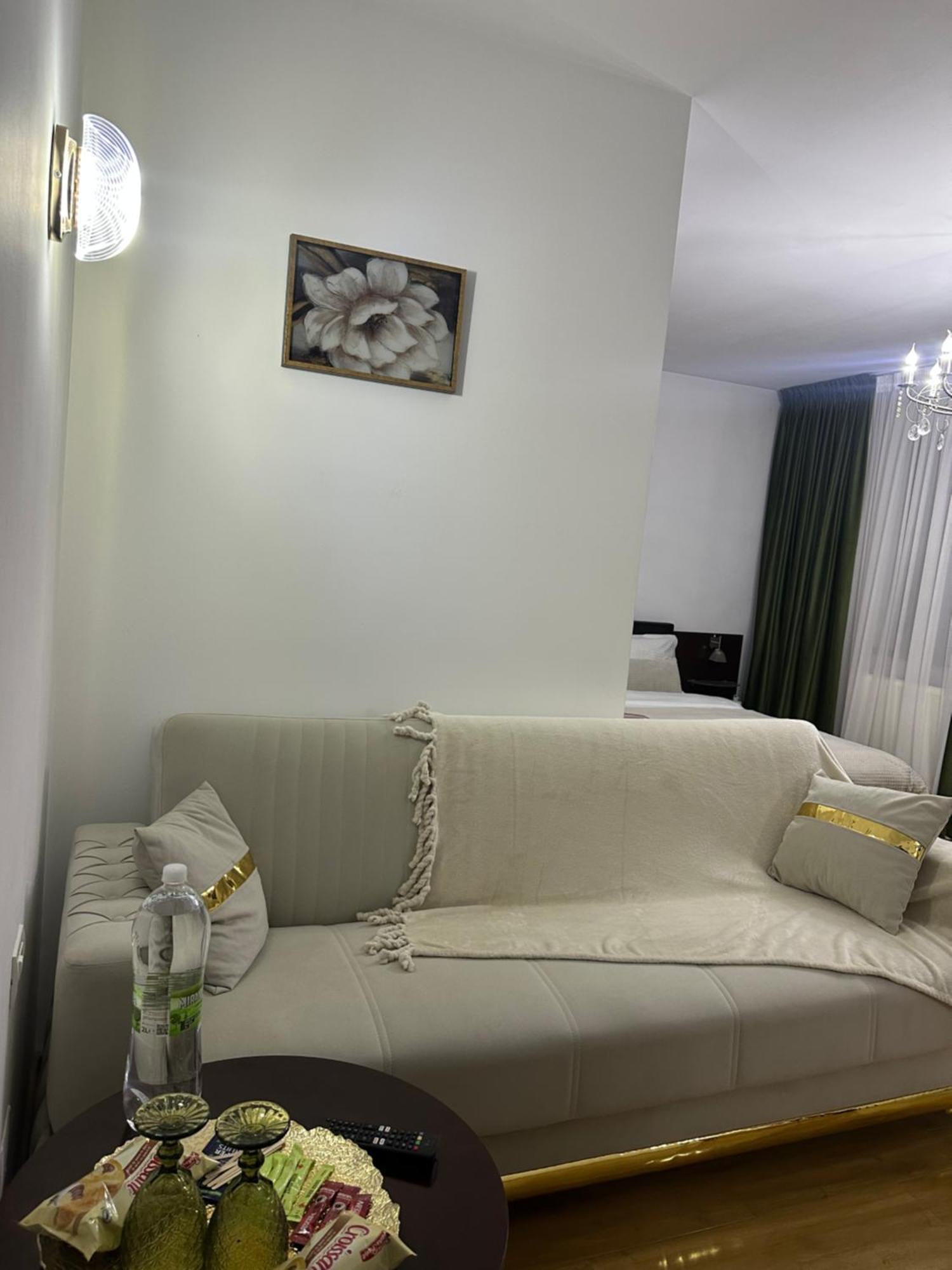Vila Zoe Bucharestairport&Therme&Parking Otopeni Ngoại thất bức ảnh