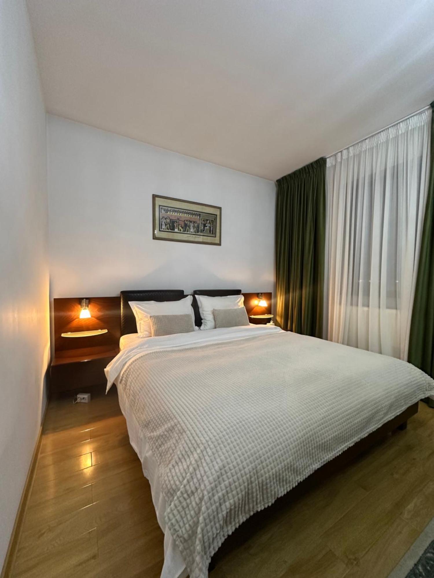 Vila Zoe Bucharestairport&Therme&Parking Otopeni Ngoại thất bức ảnh