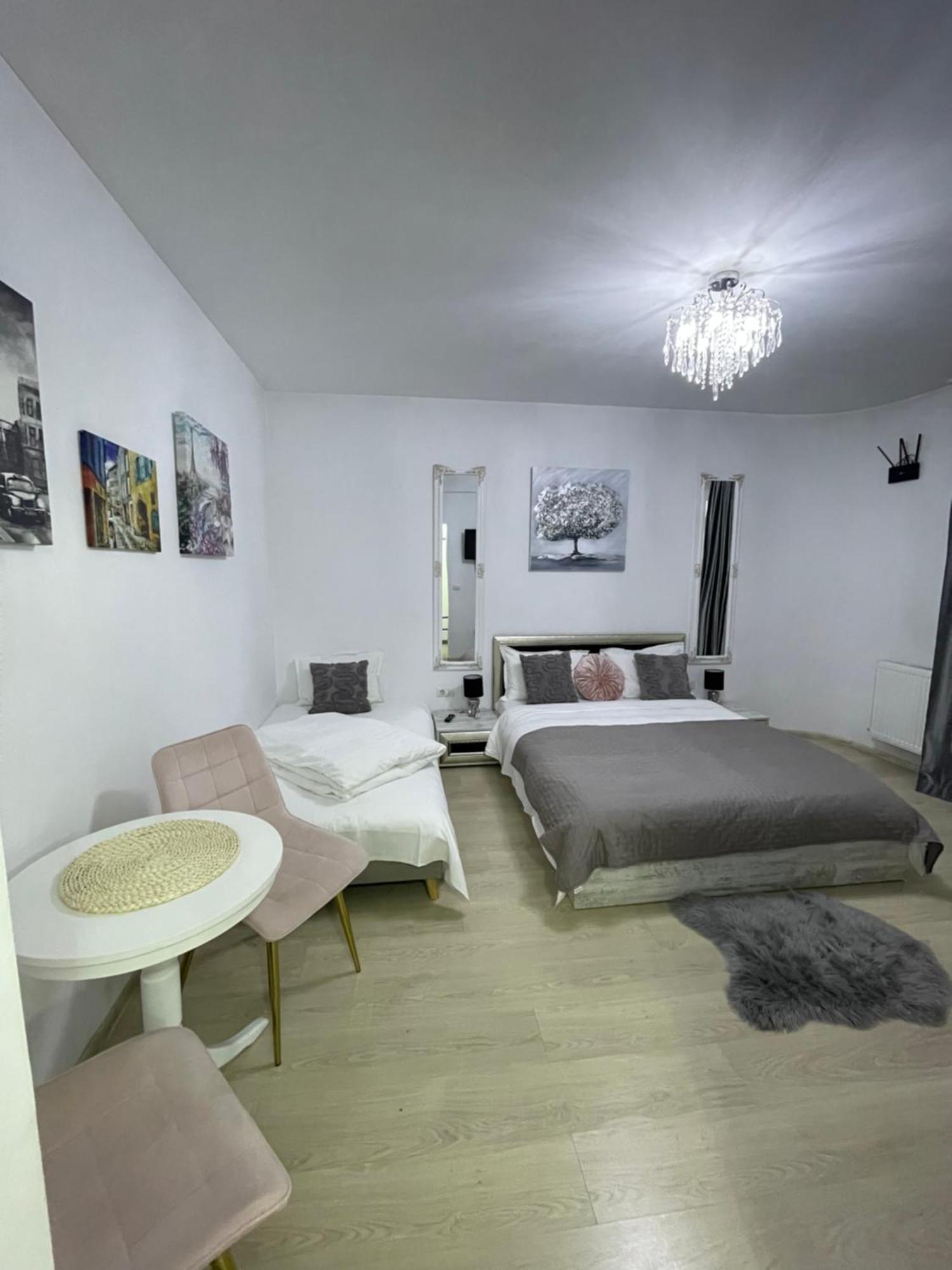 Vila Zoe Bucharestairport&Therme&Parking Otopeni Ngoại thất bức ảnh