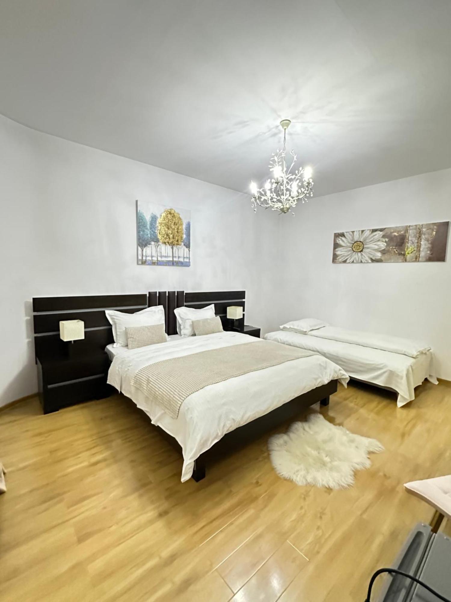 Vila Zoe Bucharestairport&Therme&Parking Otopeni Ngoại thất bức ảnh