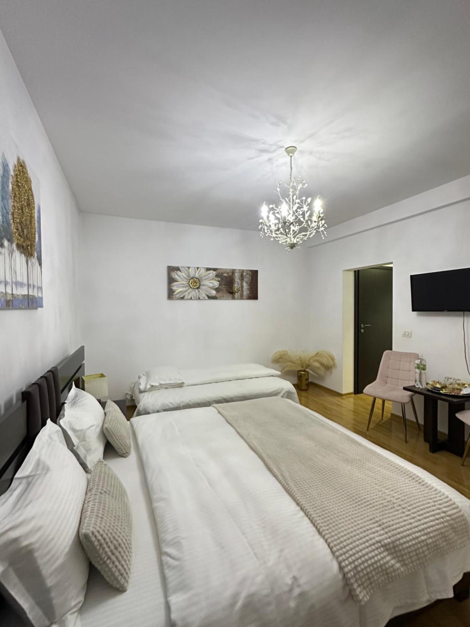 Vila Zoe Bucharestairport&Therme&Parking Otopeni Ngoại thất bức ảnh