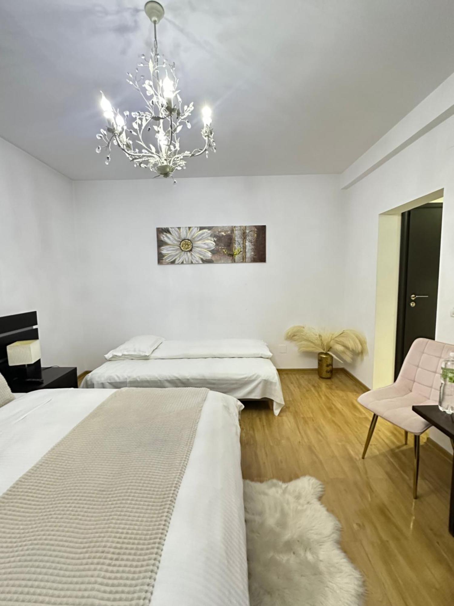 Vila Zoe Bucharestairport&Therme&Parking Otopeni Ngoại thất bức ảnh